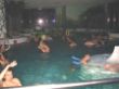 wg_12_03 (36)_JPGWG03.JPG